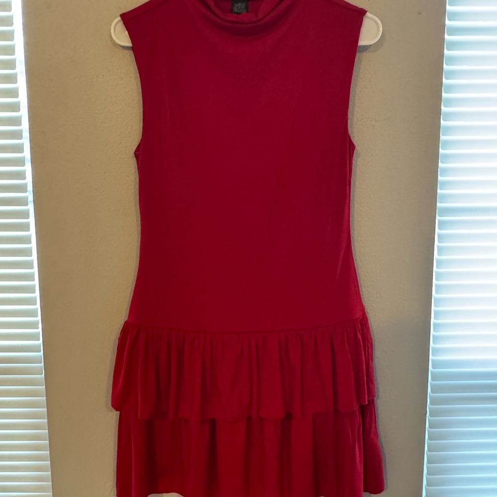Wild Fable Red Mini Dress